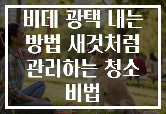 비데 광택 내는 방법 새것처럼 관리하는 청소 비법