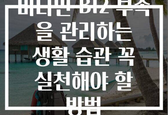 비타민 B12 부족 을 관리하는 생활 습관 꼭 실천해야 할 방법