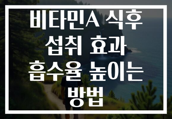 비타민A 식후 섭취 효과 흡수율 높이는 방법