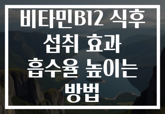 비타민B12 식후 섭취 효과 흡수율 높이는 방법