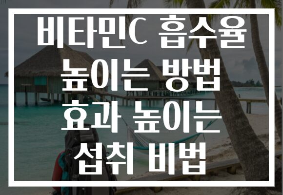 비타민C 흡수율 높이는 방법 효과 높이는 섭취 비법