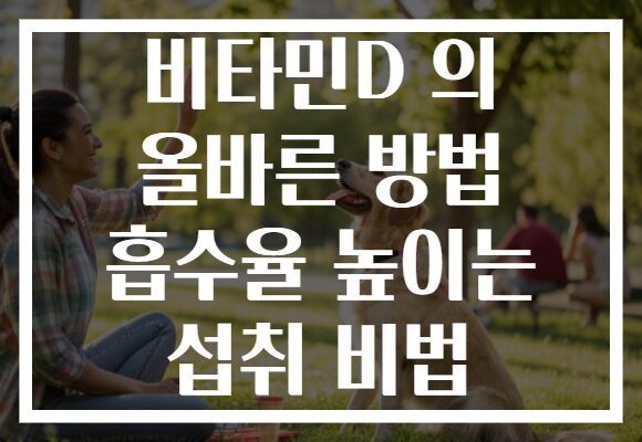 비타민D 의 올바른 방법 흡수율 높이는 섭취 비법