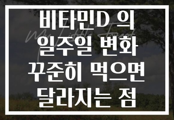 비타민D 의 일주일 변화 꾸준히 먹으면 달라지는 점