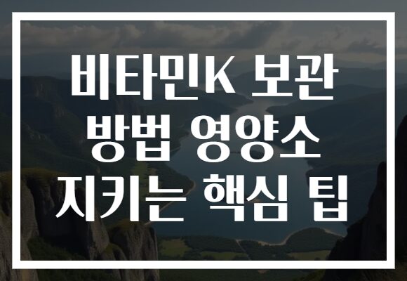 비타민K 보관 방법 영양소 지키는 핵심 팁