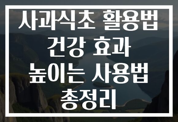 사과식초 활용법 건강 효과 높이는 사용법 총정리