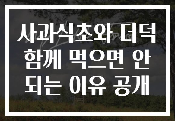사과식초와 더덕 함께 먹으면 안 되는 이유 공개