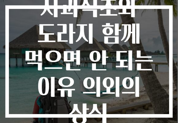 사과식초와 도라지 함께 먹으면 안 되는 이유 의외의 상식
