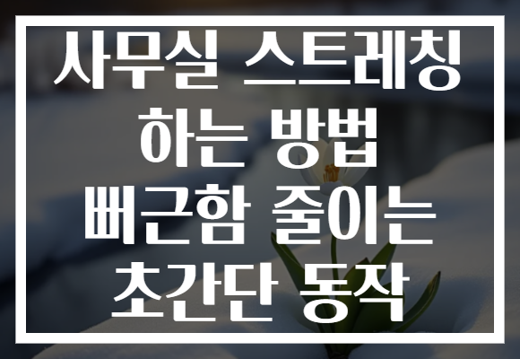 사무실 스트레칭 하는 방법 뻐근함 줄이는 초간단 동작