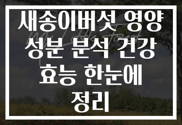 새송이버섯 영양 성분 분석 건강 효능 한눈에 정리