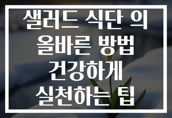 샐러드 식단 의 올바른 방법 건강하게 실천하는 팁