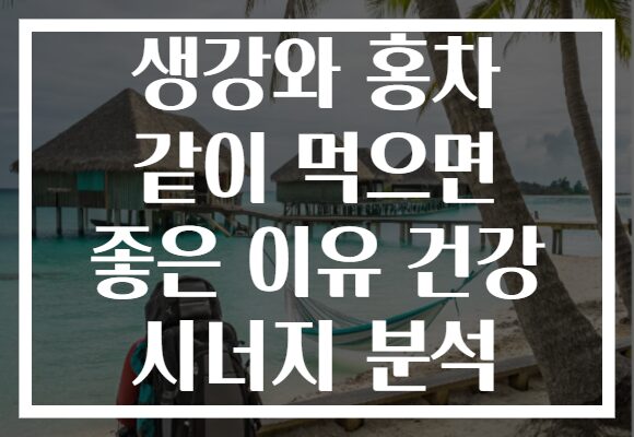 생강와 홍차 같이 먹으면 좋은 이유 건강 시너지 분석