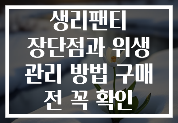 생리팬티 장단점과 위생 관리 방법 구매 전 꼭 확인