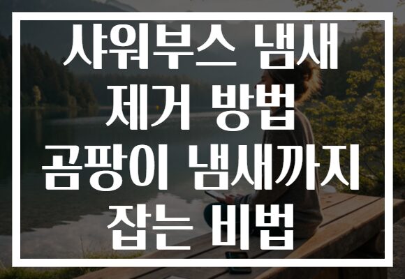 샤워부스 냄새 제거 방법 곰팡이 냄새까지 잡는 비법