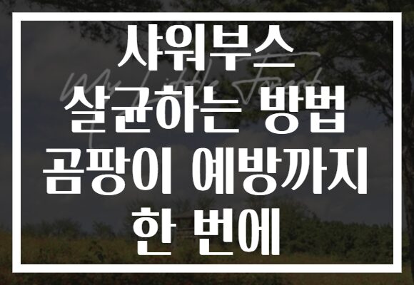 샤워부스 살균하는 방법 곰팡이 예방까지 한 번에