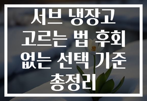 서브 냉장고 고르는 법 후회 없는 선택 기준 총정리