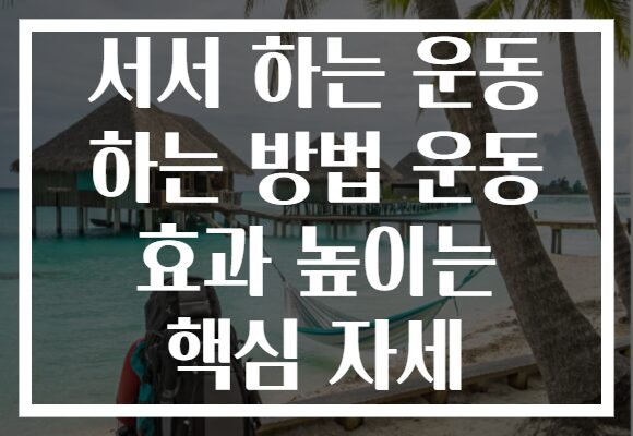 서서 하는 운동 하는 방법 운동 효과 높이는 핵심 자세
