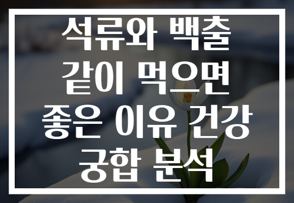 석류와 백출 같이 먹으면 좋은 이유 건강 궁합 분석