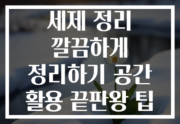 세제 정리 깔끔하게 정리하기 공간 활용 끝판왕 팁