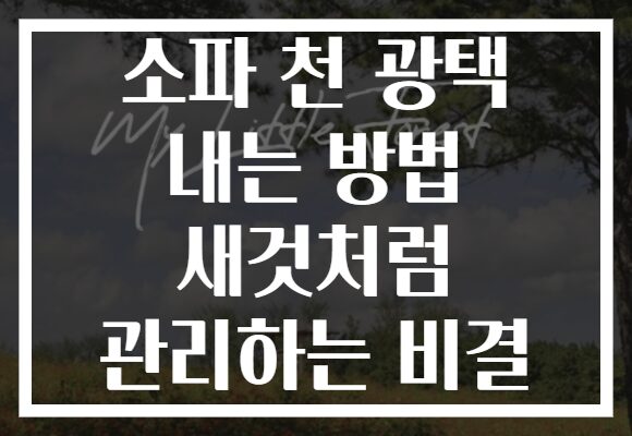 소파 천 광택 내는 방법 새것처럼 관리하는 비결