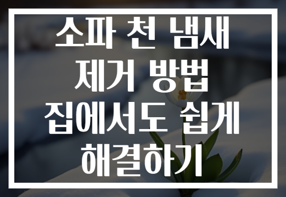 소파 천 냄새 제거 방법 집에서도 쉽게 해결하기
