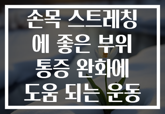 손목 스트레칭 에 좋은 부위 통증 완화에 도움 되는 운동