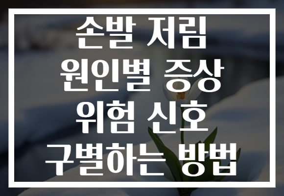 손발 저림 원인별 증상 위험 신호 구별하는 방법
