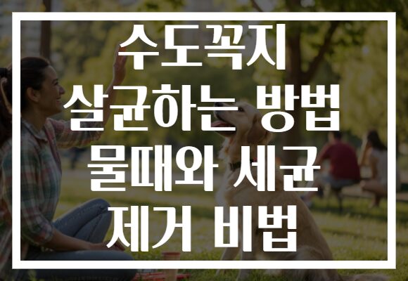 수도꼭지 살균하는 방법 물때와 세균 제거 비법