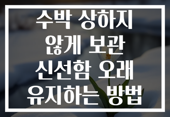 수박 상하지 않게 보관 신선함 오래 유지하는 방법