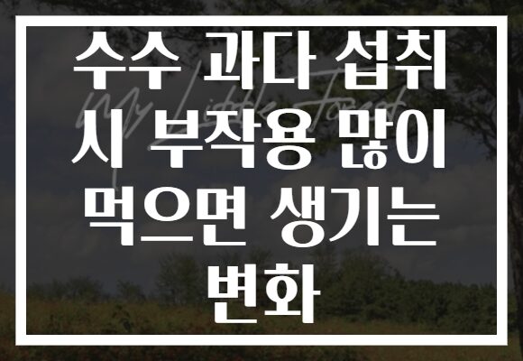 수수 과다 섭취 시 부작용 많이 먹으면 생기는 변화