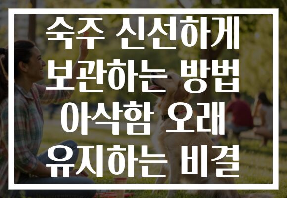 숙주 신선하게 보관하는 방법 아삭함 오래 유지하는 비결