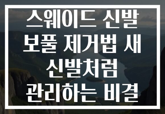 스웨이드 신발 보풀 제거법 새 신발처럼 관리하는 비결