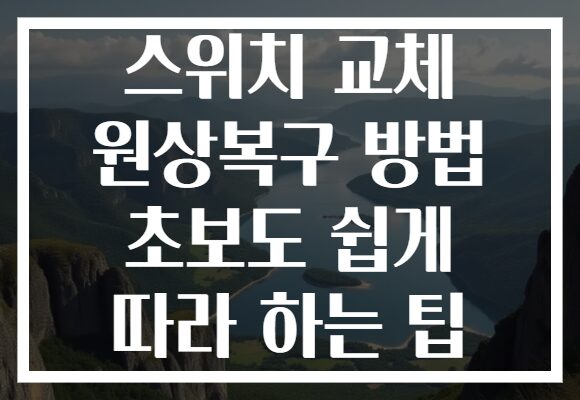 스위치 교체 원상복구 방법 초보도 쉽게 따라 하는 팁