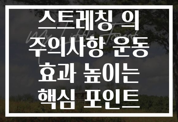 스트레칭 의 주의사항 운동 효과 높이는 핵심 포인트