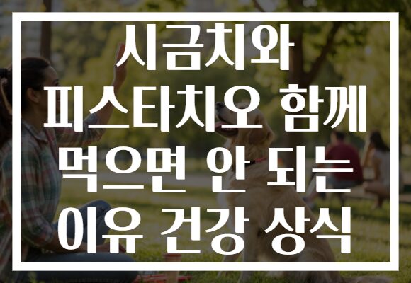 시금치와 피스타치오 함께 먹으면 안 되는 이유 건강 상식