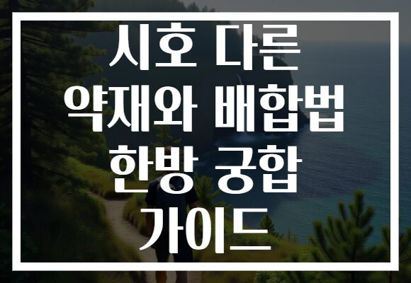 시호 다른 약재와 배합법 한방 궁합 가이드