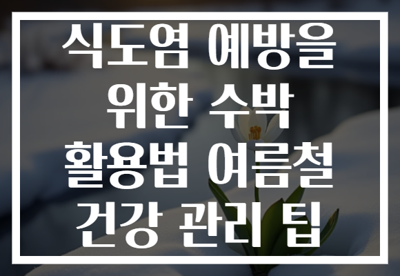 식도염 예방을 위한 수박 활용법 여름철 건강 관리 팁