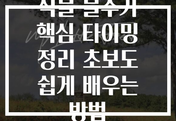 식물 물주기 핵심 타이밍 정리 초보도 쉽게 배우는 방법