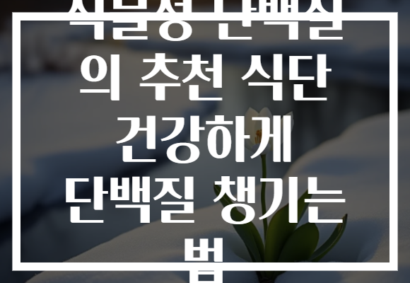 식물성 단백질 의 추천 식단 건강하게 단백질 챙기는 법