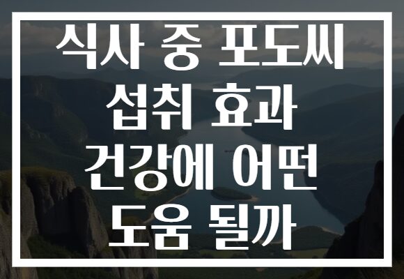 식사 중 포도씨 섭취 효과 건강에 어떤 도움 될까