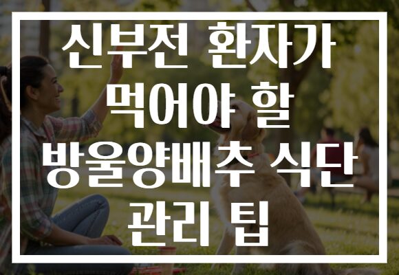 신부전 환자가 먹어야 할 방울양배추 식단 관리 팁