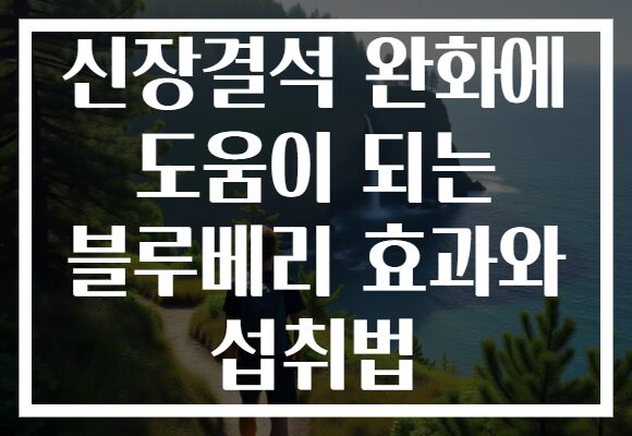 신장결석 완화에 도움이 되는 블루베리 효과와 섭취법