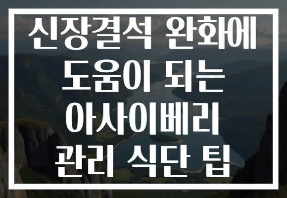 신장결석 완화에 도움이 되는 아사이베리 관리 식단 팁