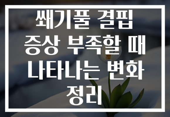 쐐기풀 결핍 증상 부족할 때 나타나는 변화 정리