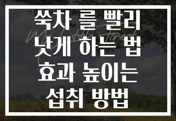 쑥차 를 빨리 낫게 하는 법 효과 높이는 섭취 방법