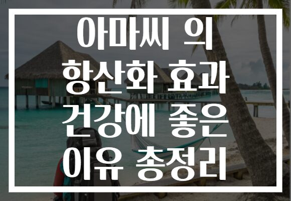 아마씨 의 항산화 효과 건강에 좋은 이유 총정리