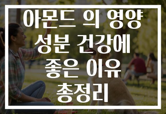 아몬드 의 영양 성분 건강에 좋은 이유 총정리