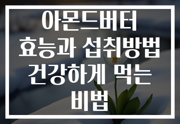 아몬드버터 효능과 섭취방법 건강하게 먹는 비법