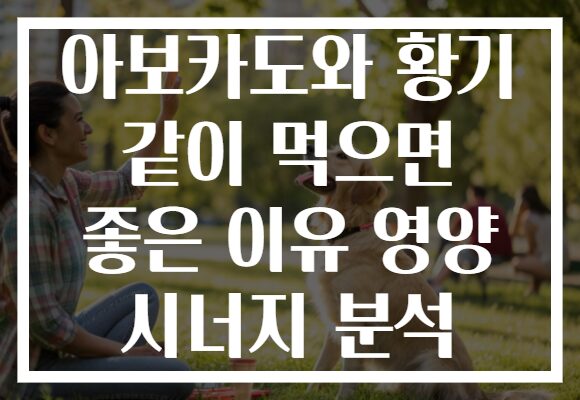 아보카도와 황기 같이 먹으면 좋은 이유 영양 시너지 분석