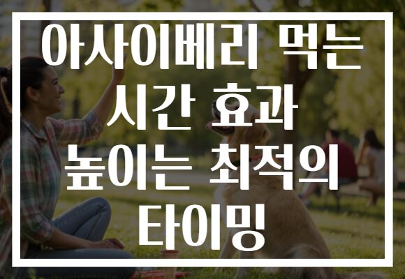 아사이베리 먹는 시간 효과 높이는 최적의 타이밍
