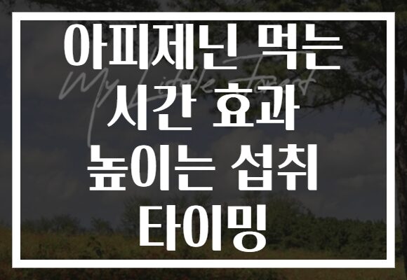 아피제닌 먹는 시간 효과 높이는 섭취 타이밍